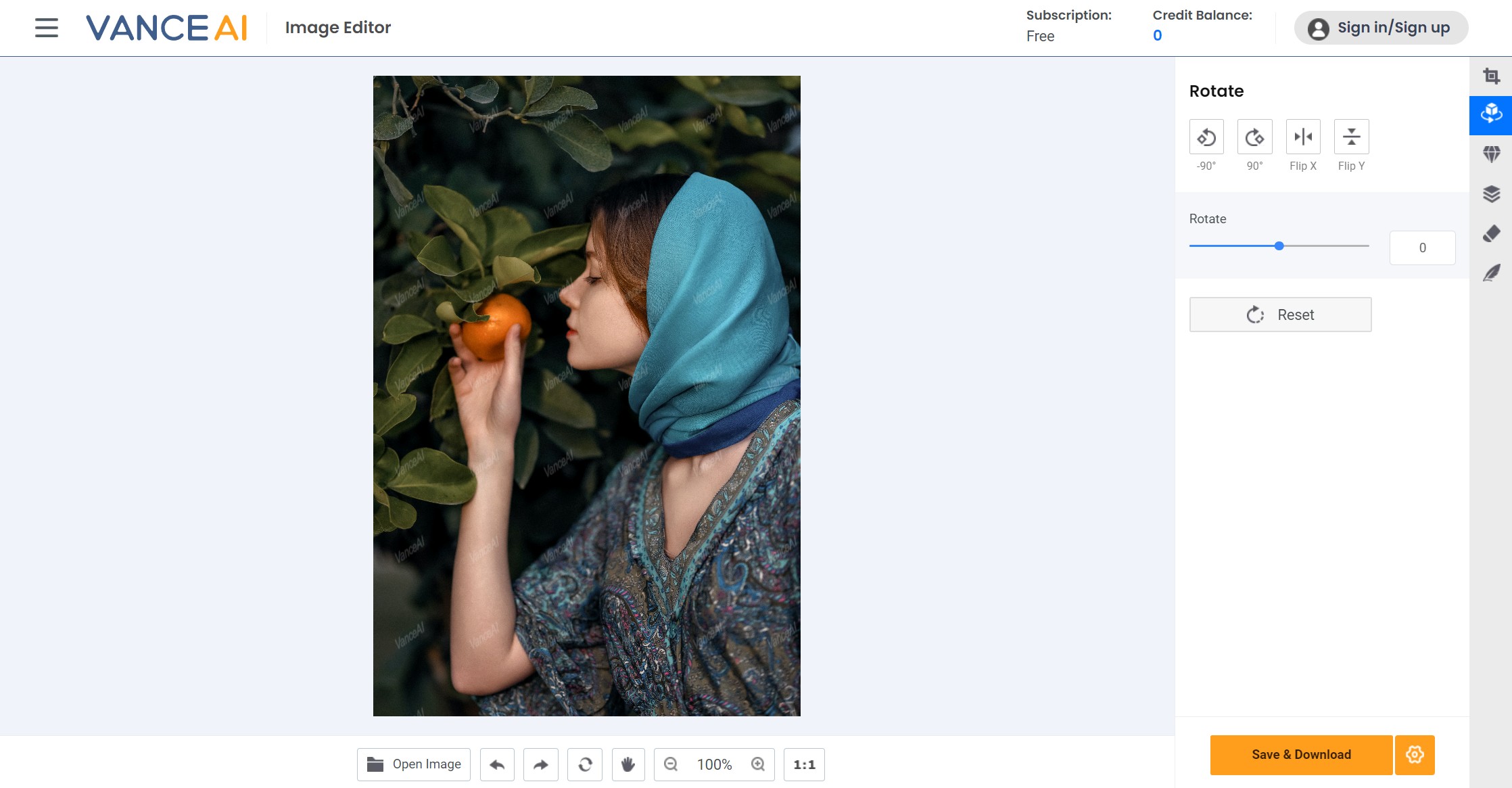 flipper an Image with VanceAI Image Flipper workspace